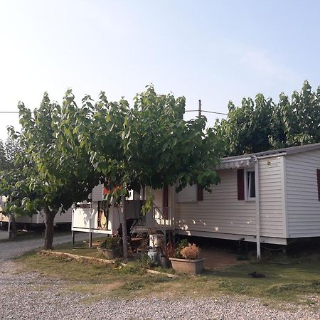 Camping Vila Village Sant Feliu de Buixalleu Dış mekan fotoğraf