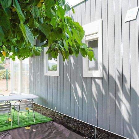 Camping Vila Village Sant Feliu de Buixalleu Dış mekan fotoğraf