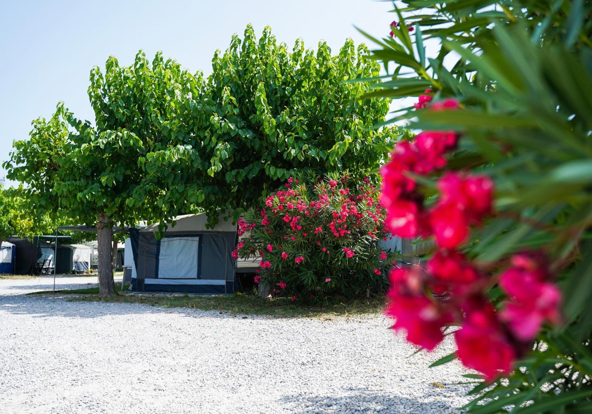 Camping Vila Village Sant Feliu de Buixalleu Dış mekan fotoğraf